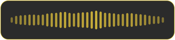 Bars recording HUD